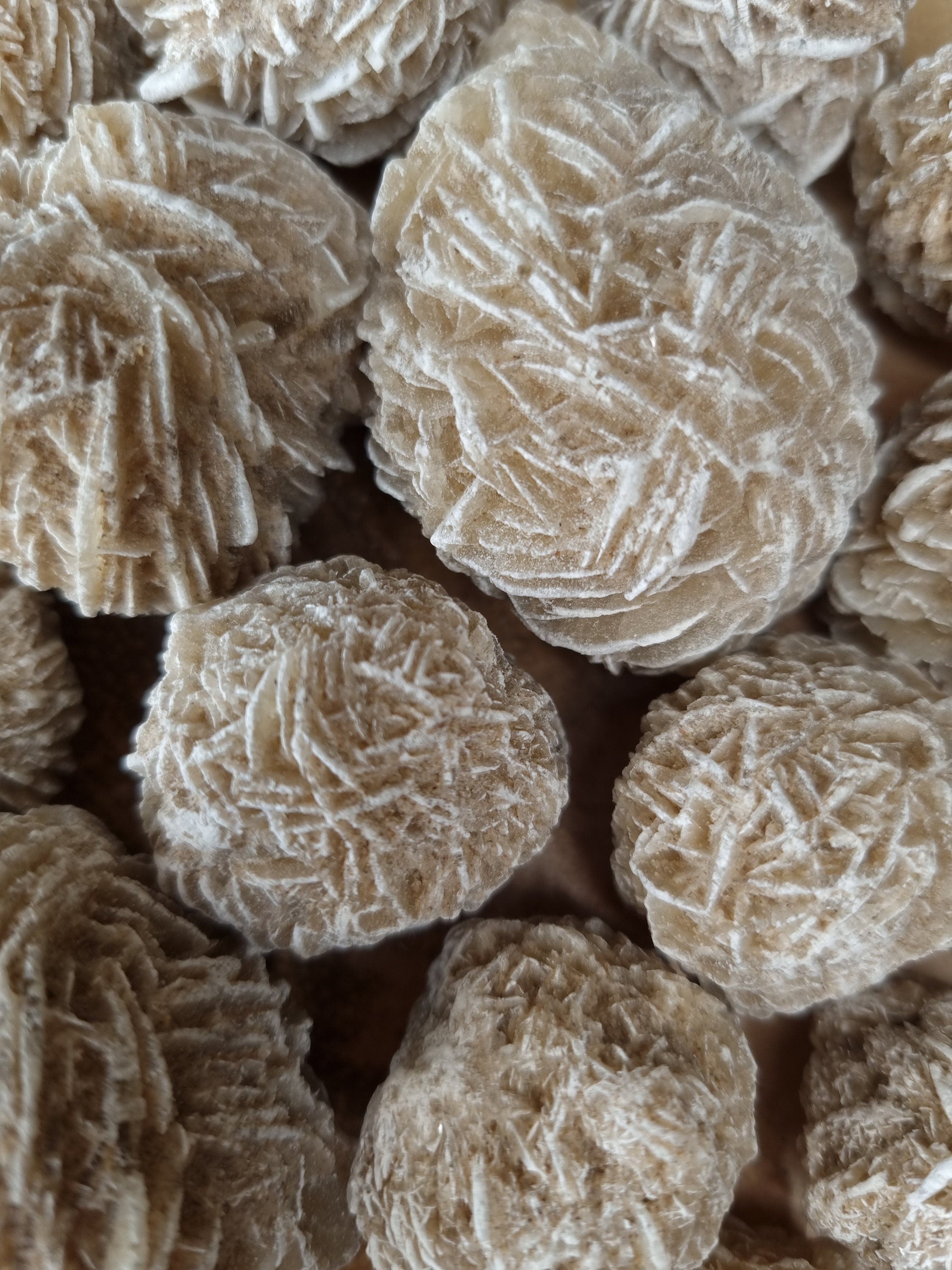 Desert Rose Crystal: Gypsum Sand Rose Formation