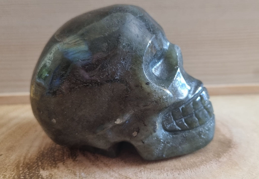 Large labradorite scull