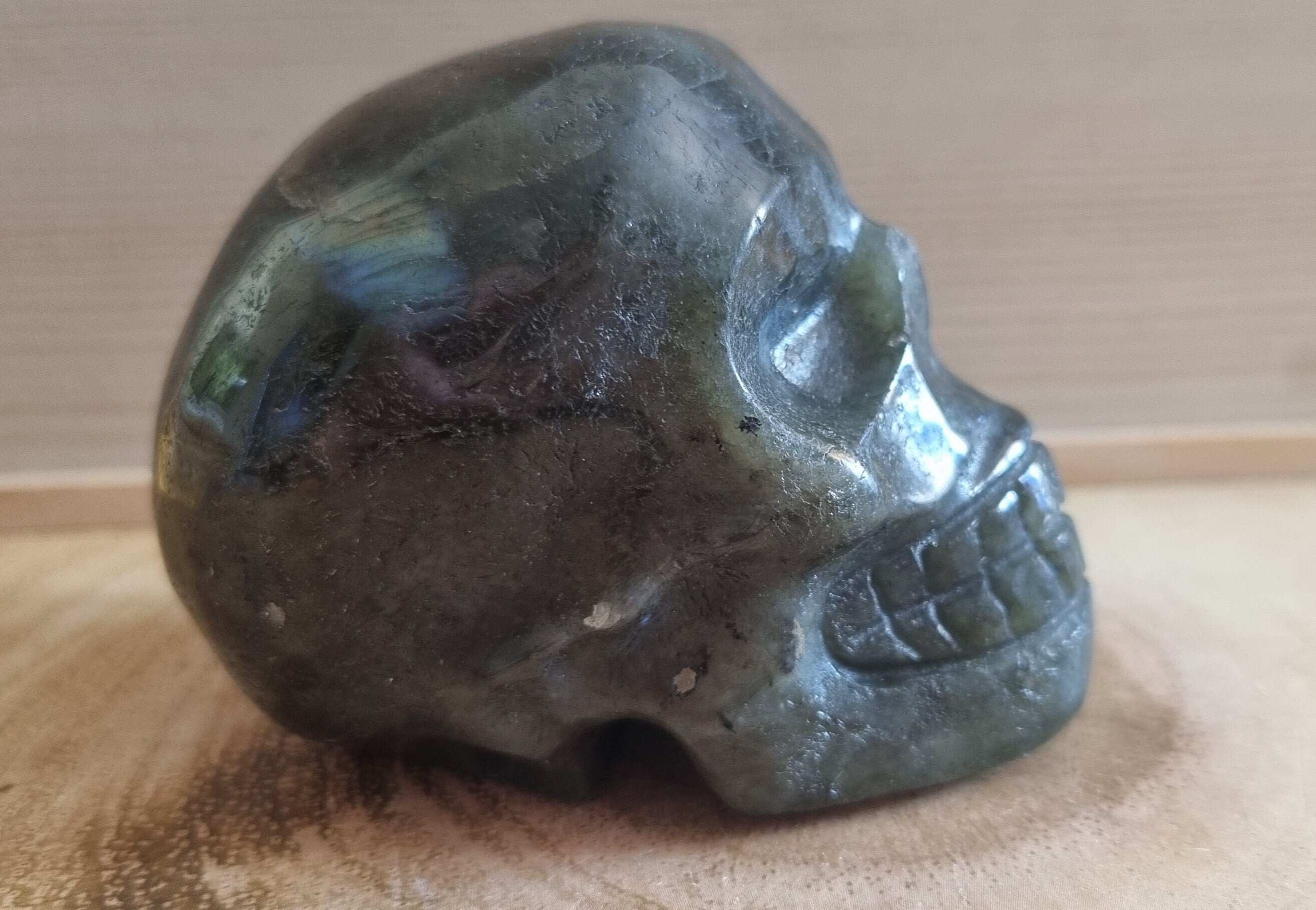 Large labradorite scull