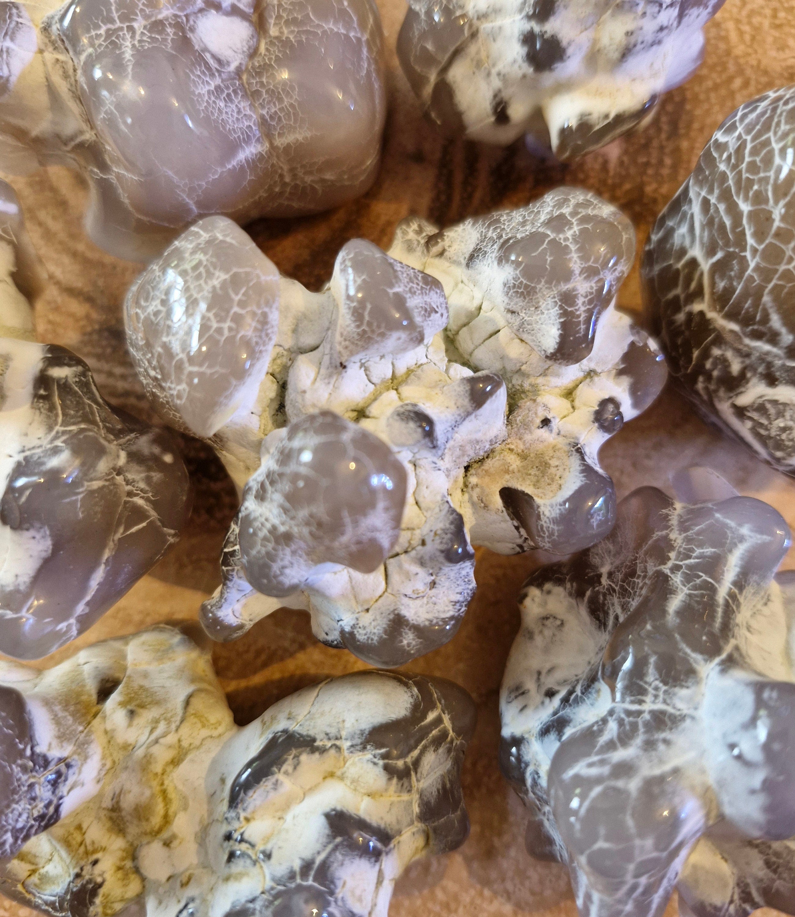Snake Skin Agate