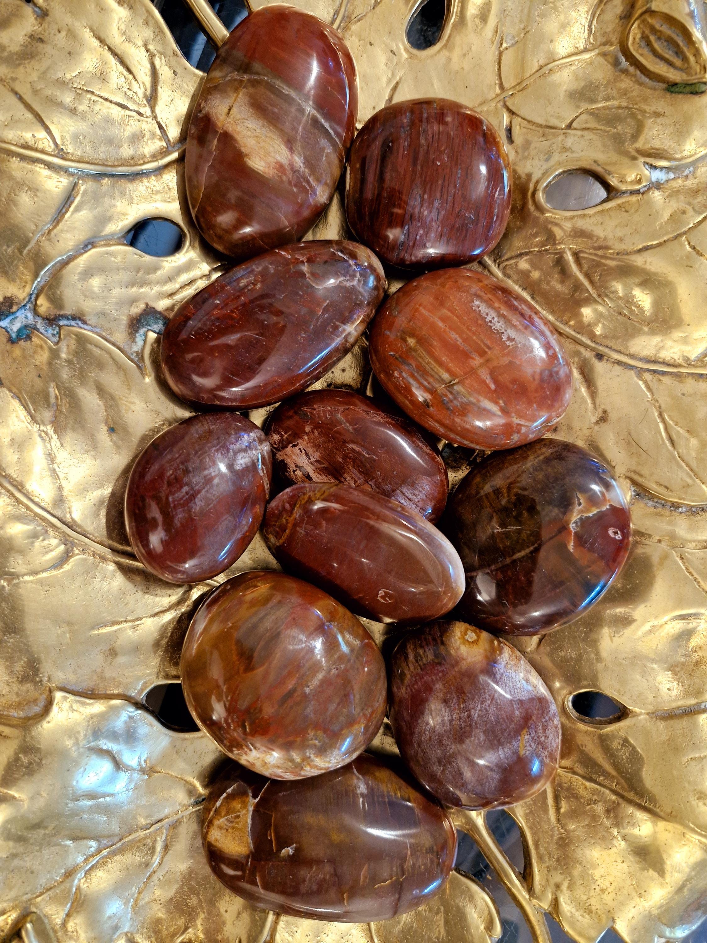 Natural wet polish petrified wood palm stones