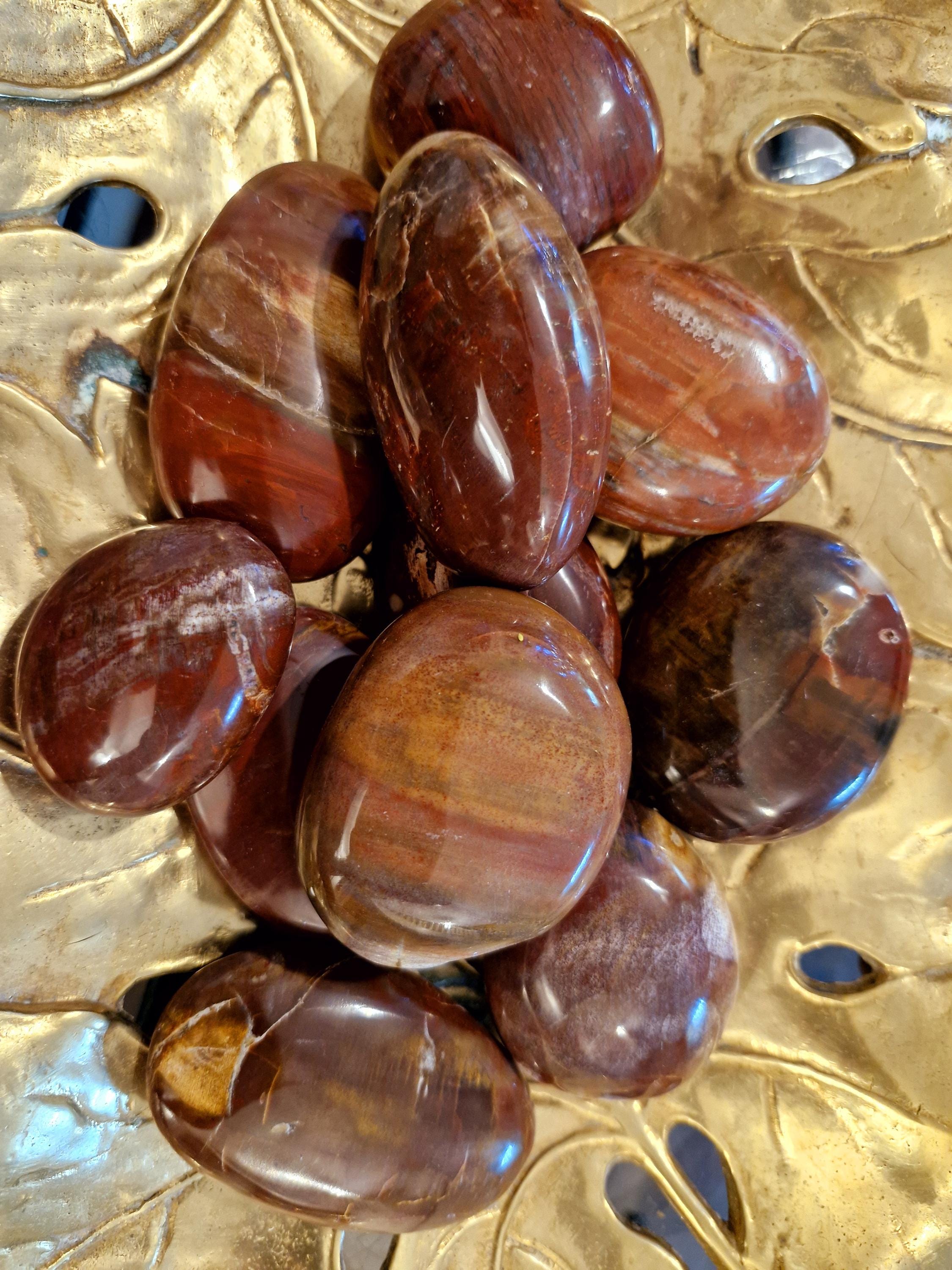 Natural wet polish petrified wood palm stones