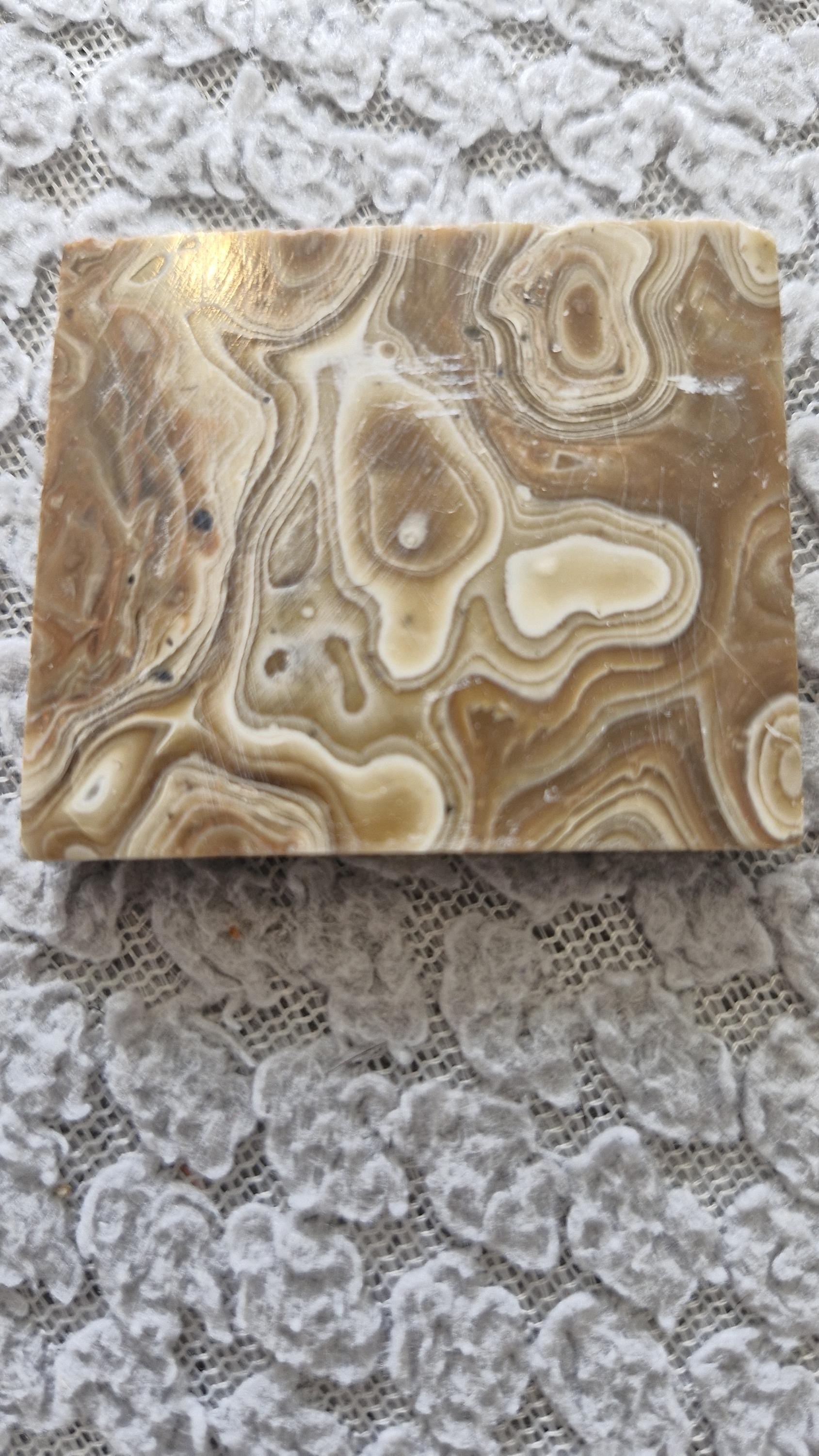 Wood Schalenblend Slabs from Poland