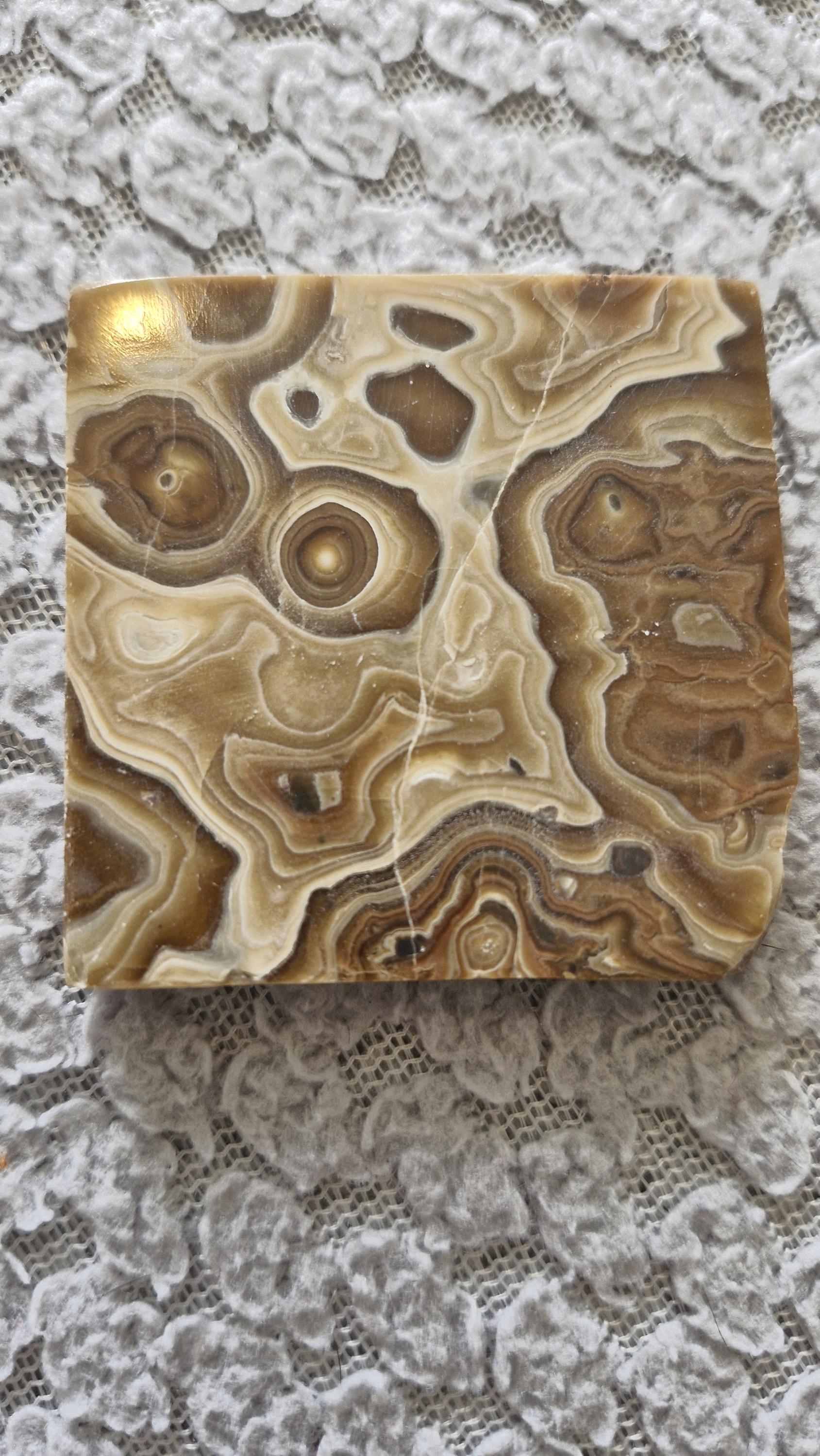 Wood Schalenblend Slabs from Poland