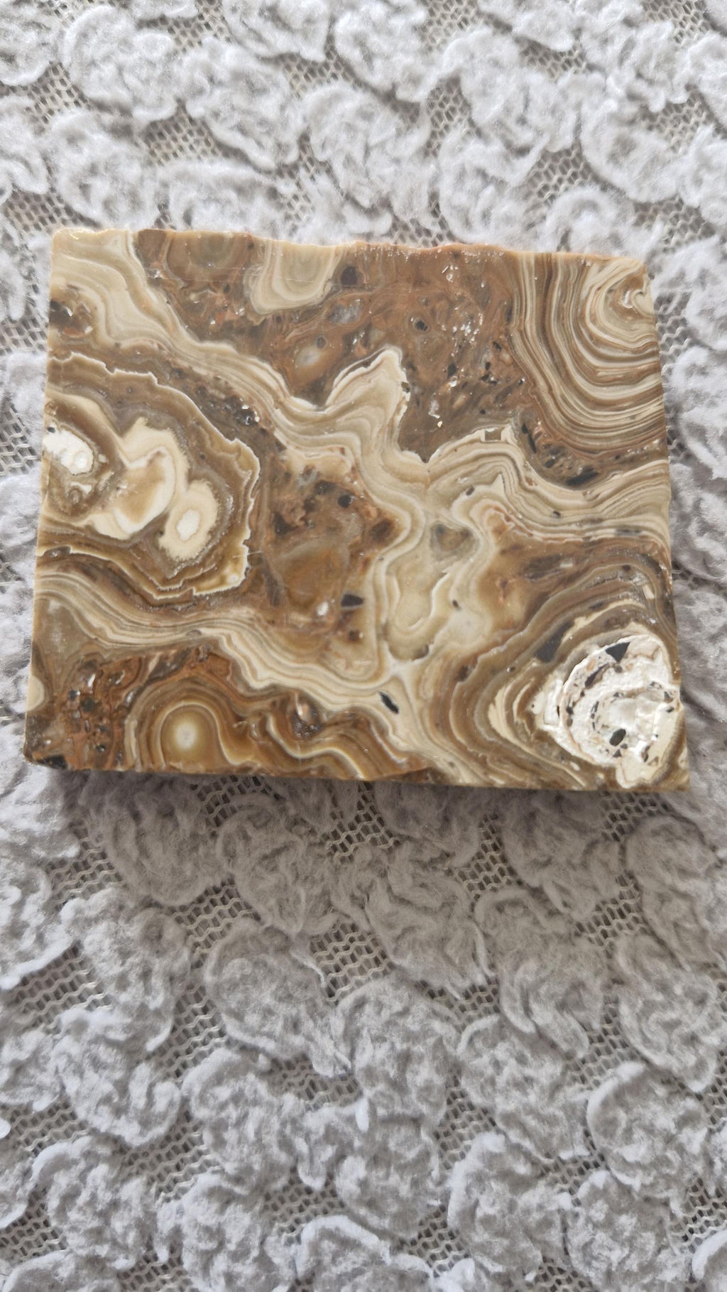 Wood Schalenblend Slabs from Poland