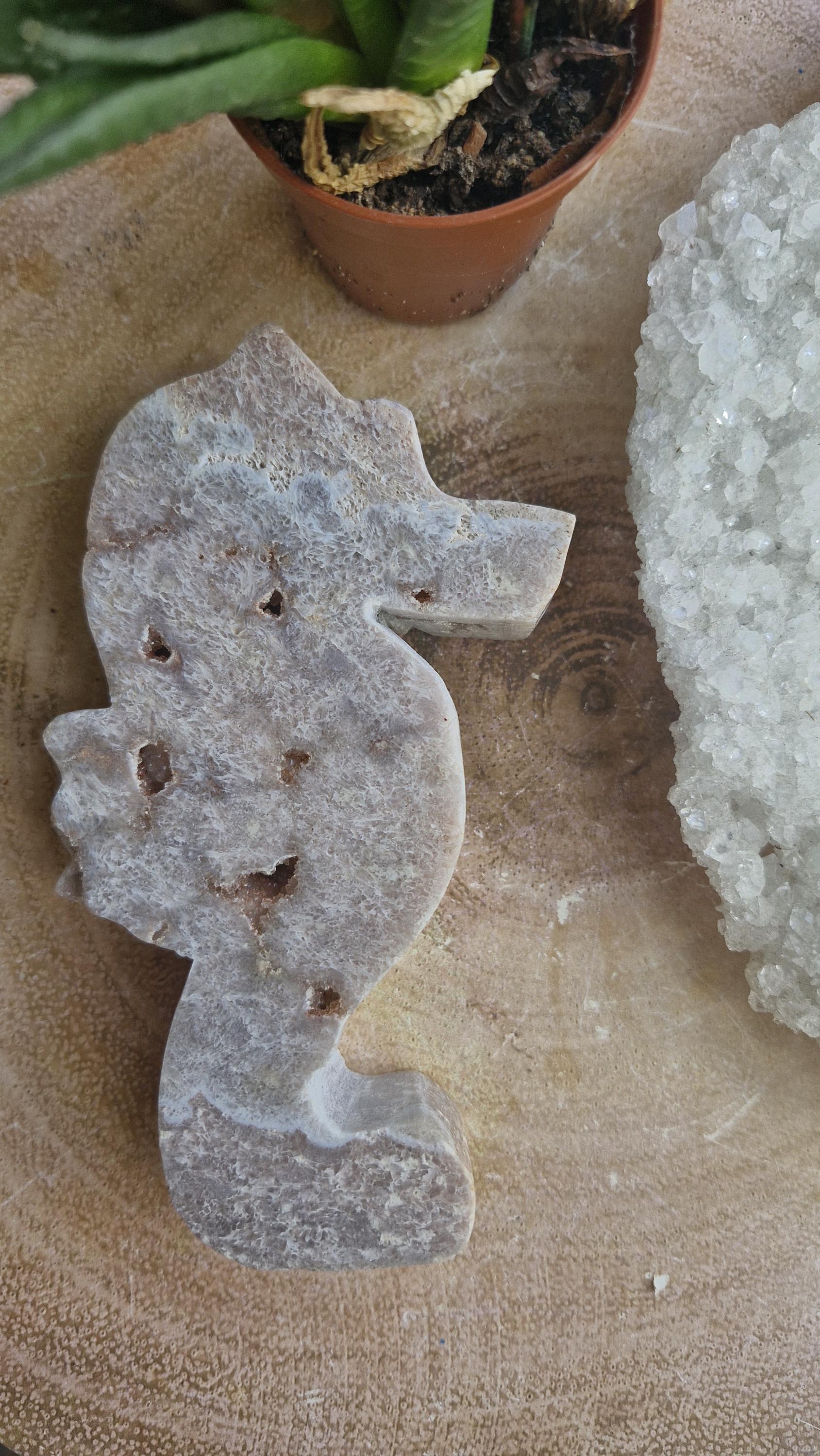 Large Pink Amethyst Seahorses with druzy caves.