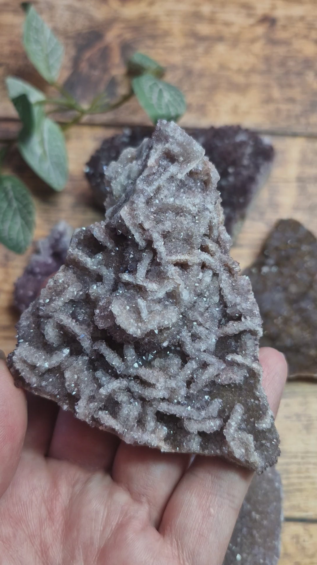 Alacam Amethyst Clusters