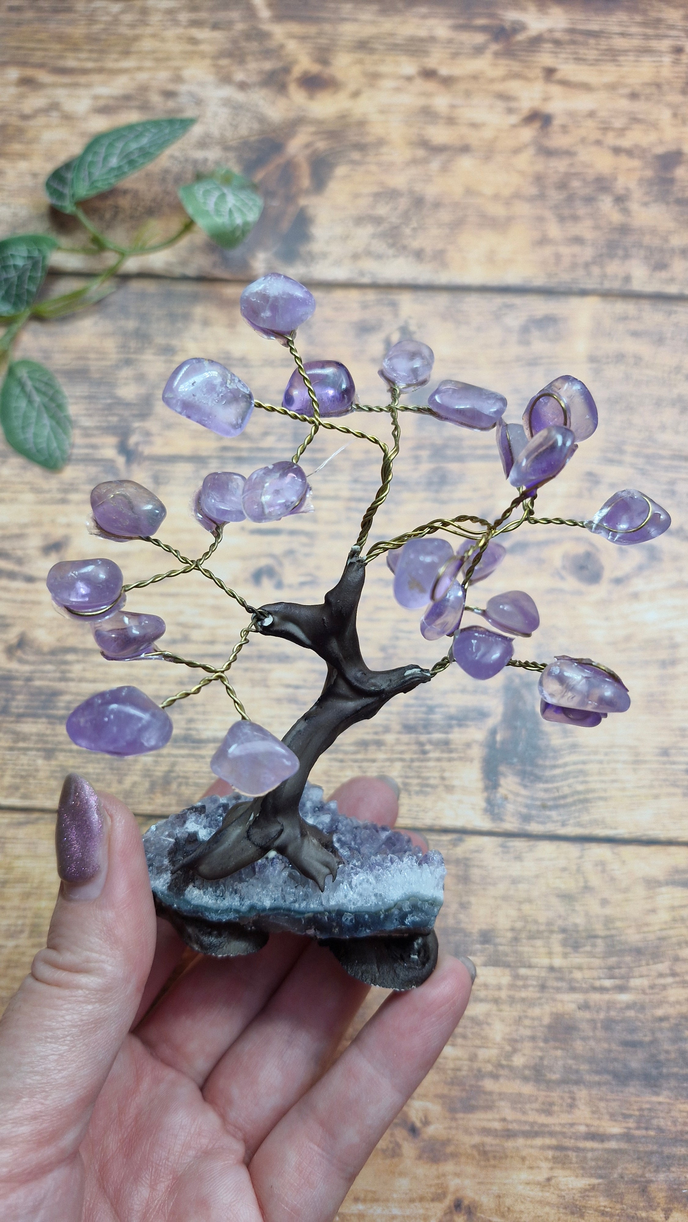 Amethyst Bonsai Tree