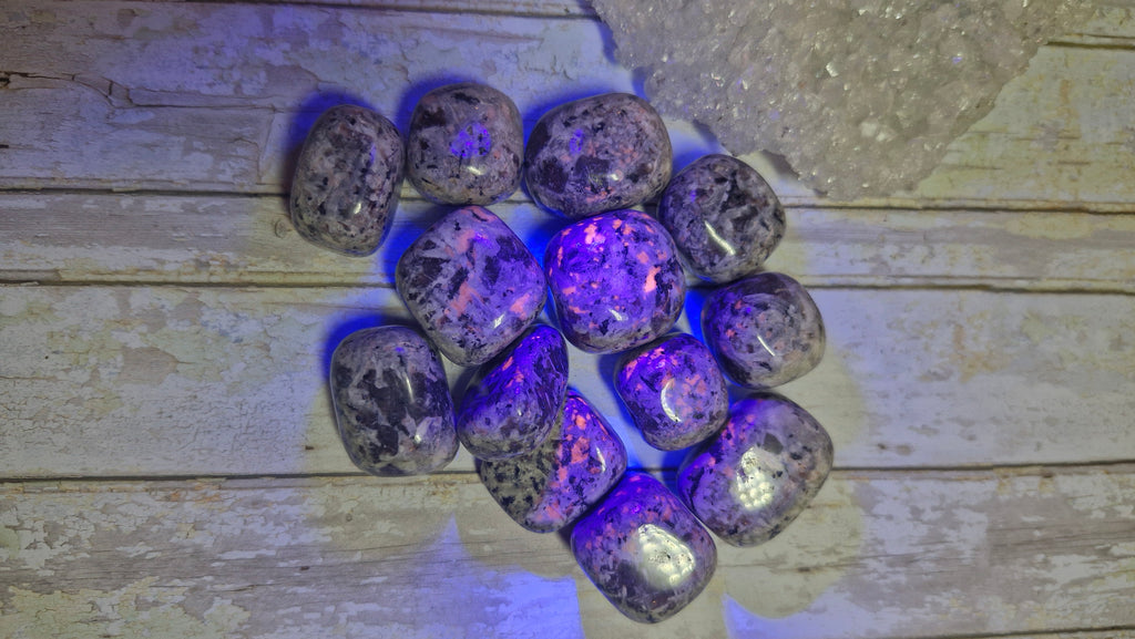 Yooperlite Tumble Stones