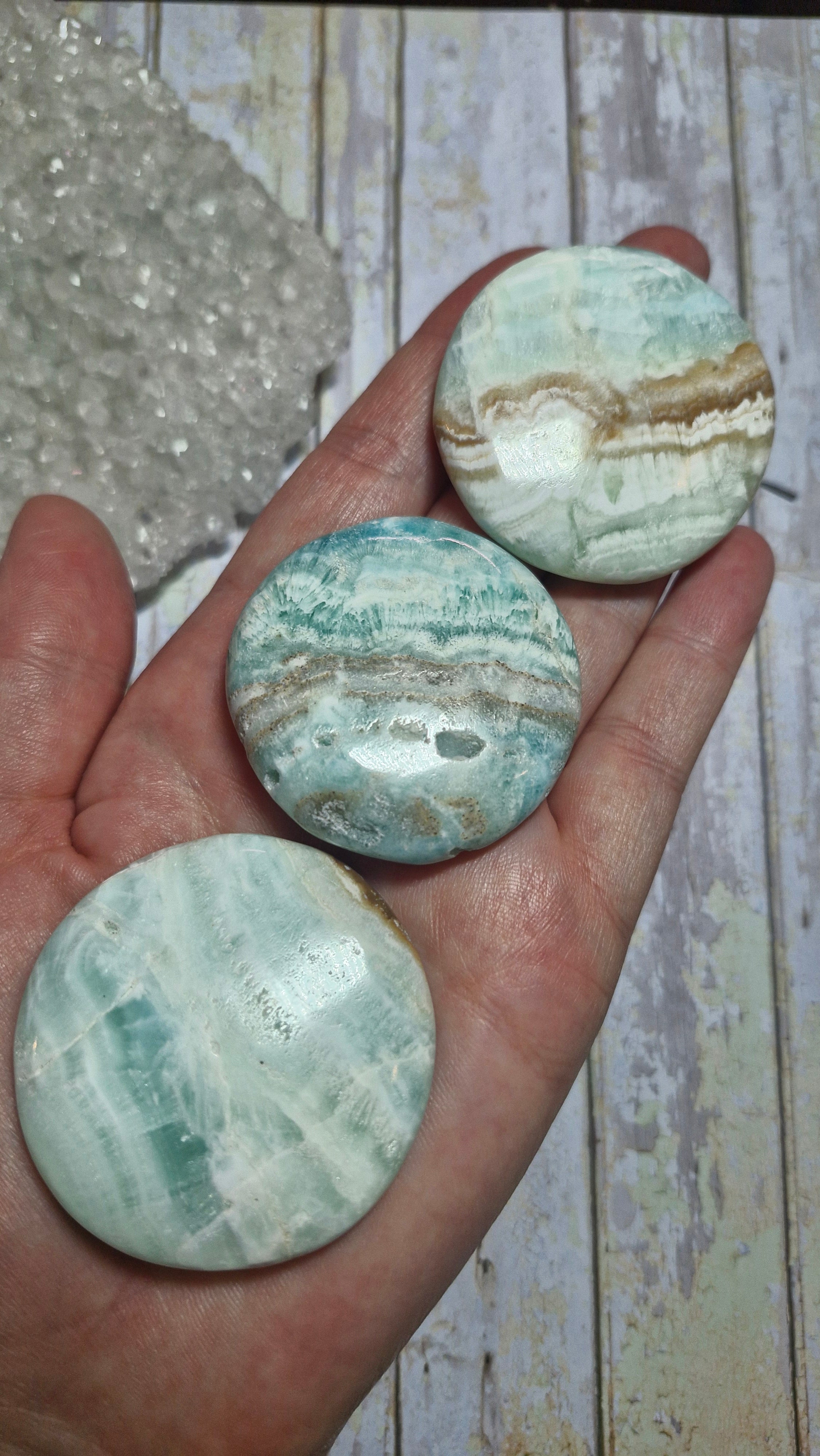 Carribean Calcite Medallion | Small Palm Stones