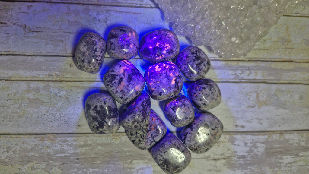 Yooperlite Tumble Stones