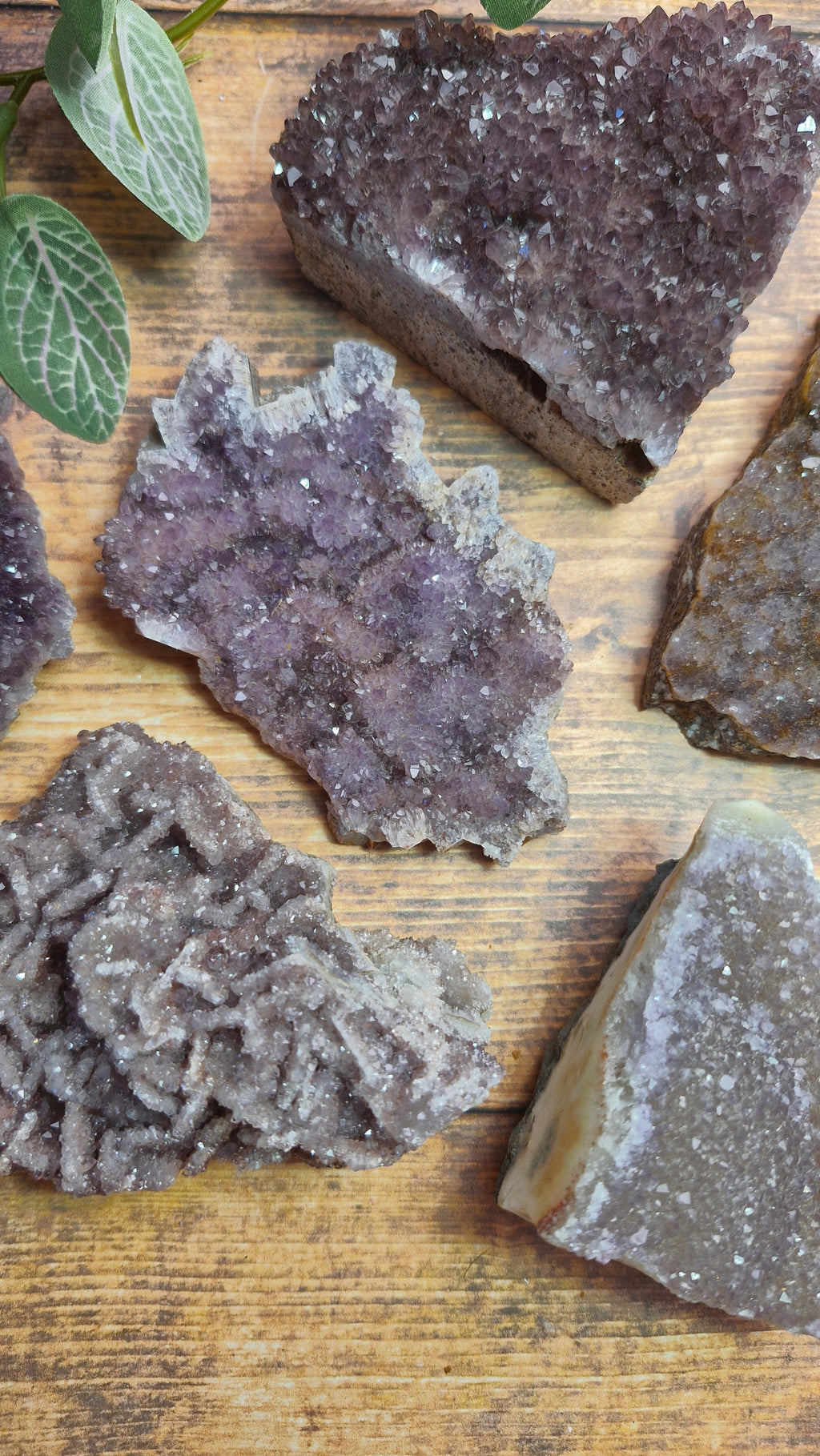 Alacam Amethyst Clusters